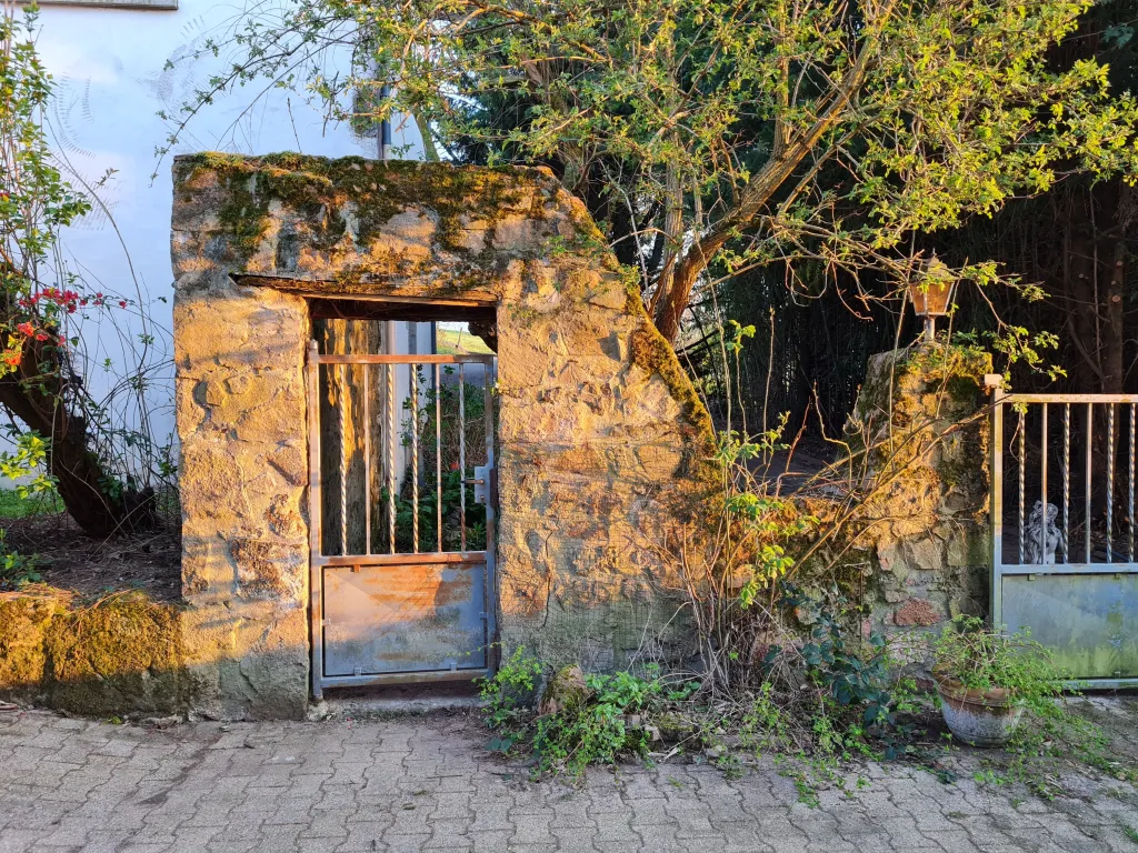 Ambiance cour — vue 2