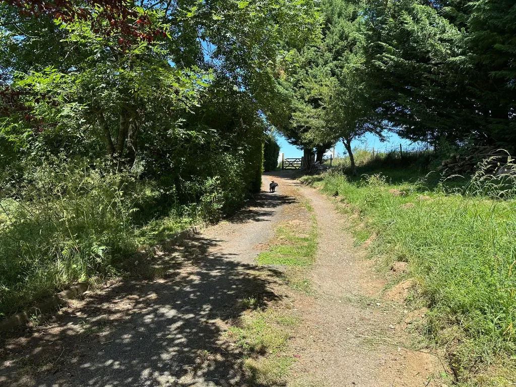 Allée menant à la propriété