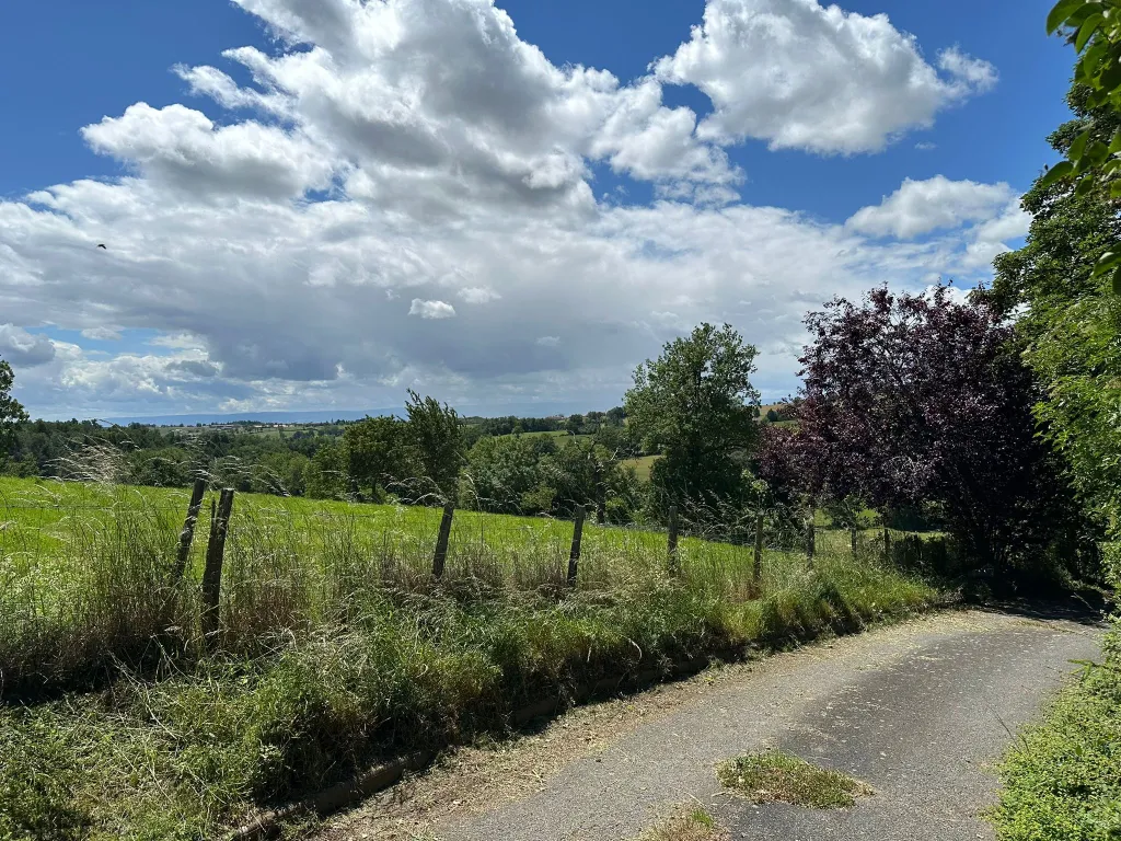Campagne environnante — prés et champs