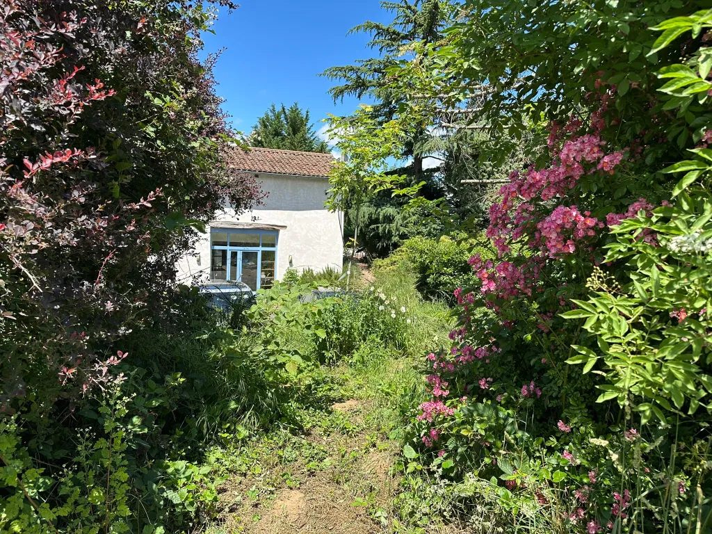Parc arboré — grands arbres